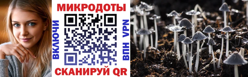 Галлюциногенные грибы Cubensis  Мостовской 